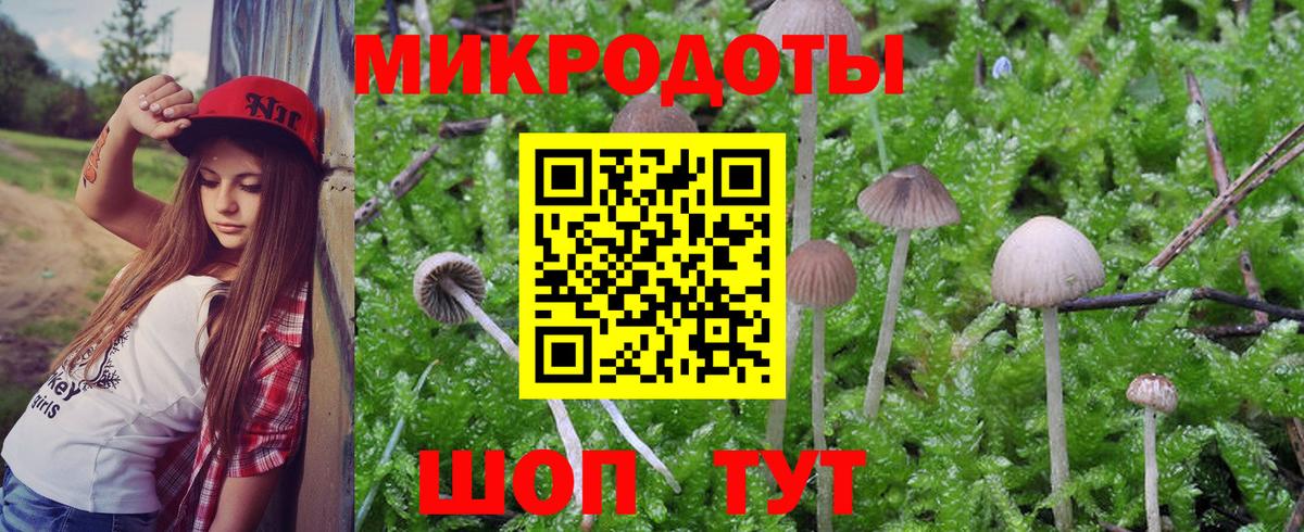 Галлюциногенные грибы Cubensis  Псилоцибиновые грибы Psilocybine cubensis  хочу наркоту  Вход с VPN  Назрань 